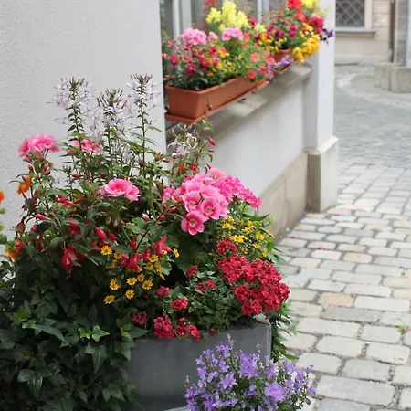 Hotell Am Rathaus 3*